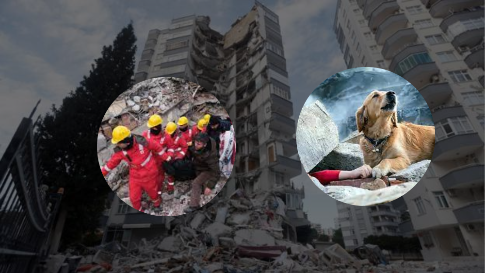 टर्की-सिरिया भूकम्प :  ३३ हजारभन्दा धेरैको मृत्यु