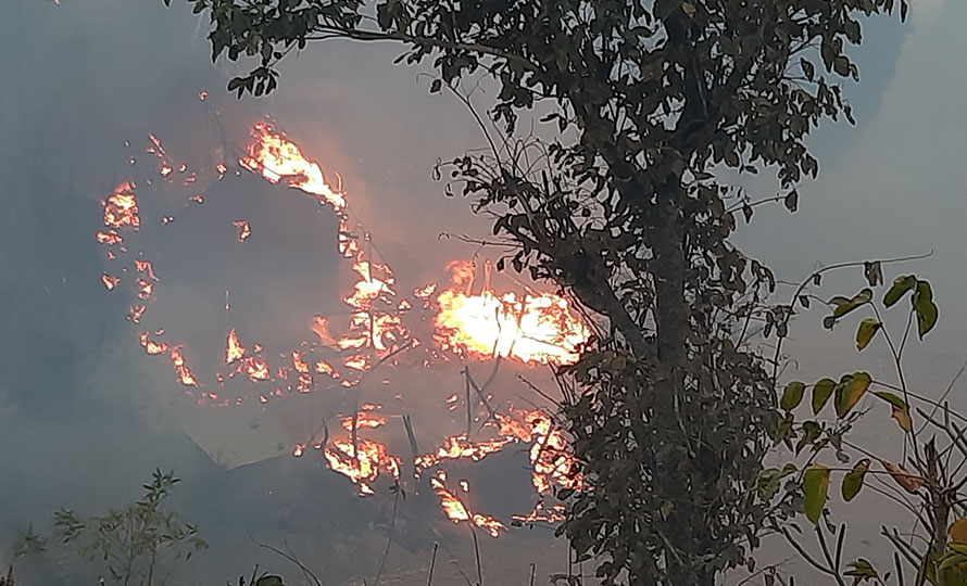 तेह्रथुमको हातिखर्कमा भीषण आगलागी हुँदा १४ घर जलेर नष्ट