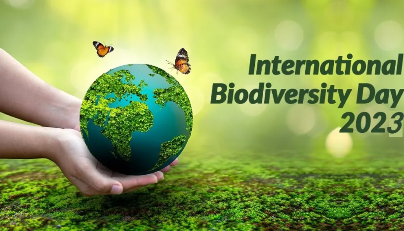आज जैविक विविधता दिवस मनाइँदै