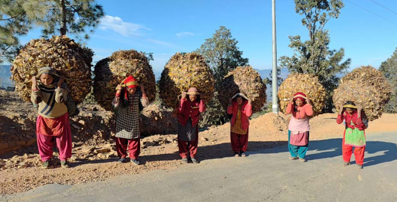 जलवायु अनुकूलन खेतीका लागि जैविक मल