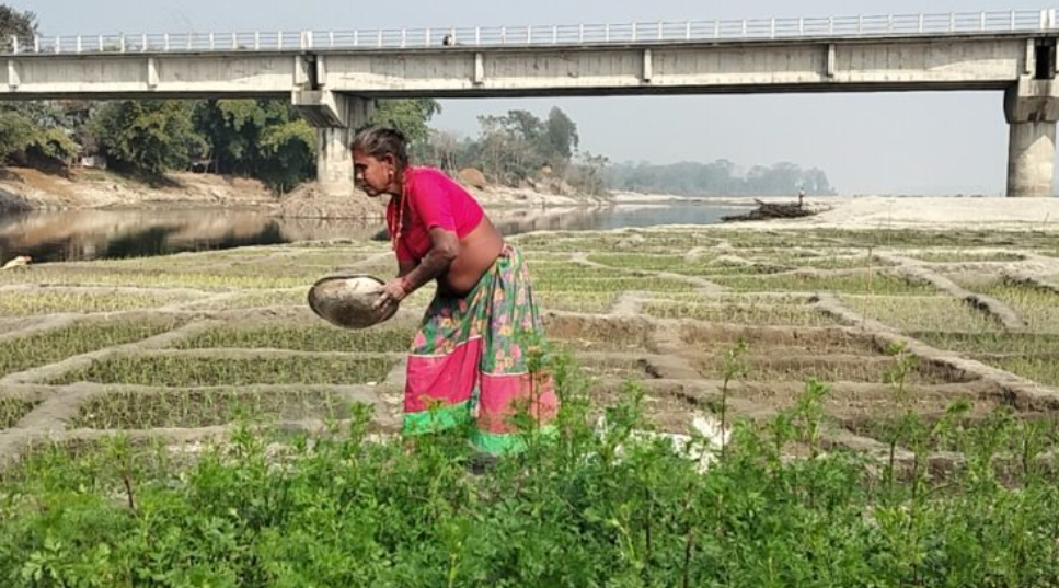 बगर खेतीले फेरिँदै फाँटाका किसानको जीवन