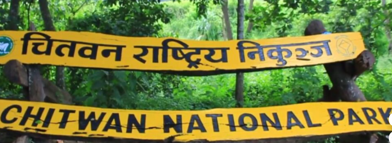 चितवन निकुञ्जमा एक वर्षमा ८३ वन्यजन्तुको मृत्यु, १३५ को उद्धार