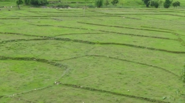 कर्णालीमा जग्गा बाँझो राख्नेलाई जरिवाना