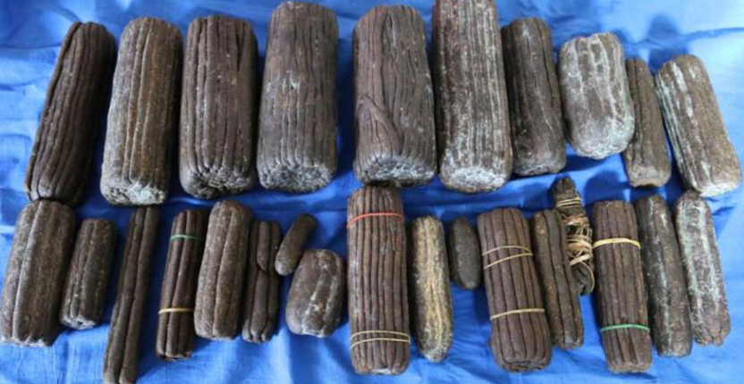 कैलालीमा  चरेशसहित होटल सञ्चालक पक्राउ