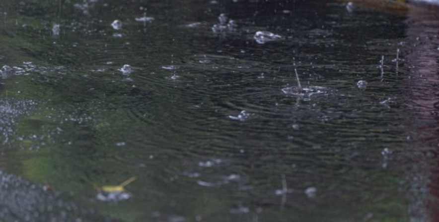 देशका विभिन्न भागमा  ‘मोन्था’ चक्रवातको प्रभाव