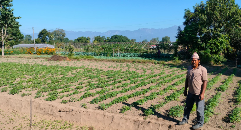 शुक्लाफाँटामा टिपिएस विधिबाट आलुखेती