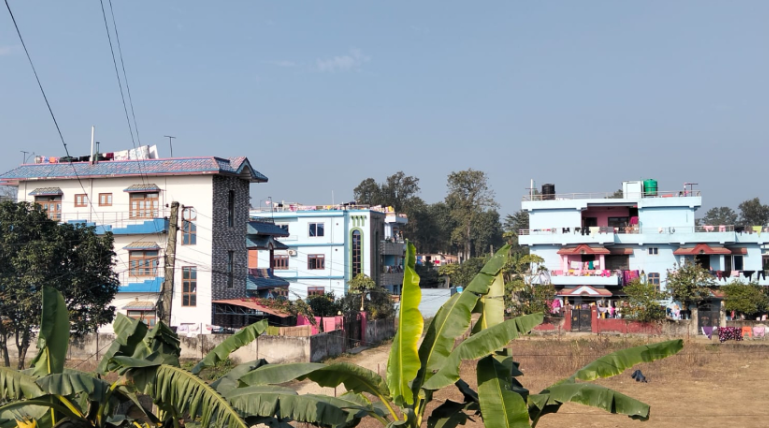 सुदूरपश्चिमको तराईमा घाम लाग्यो