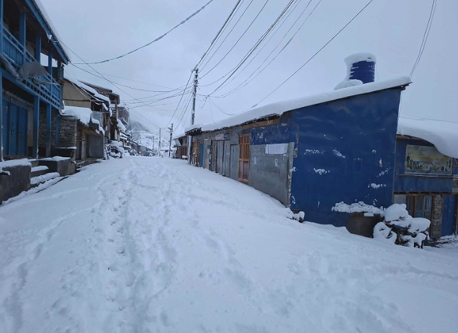 हिमाली जिल्लामा हिमपात