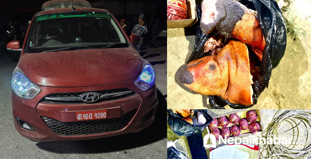 नेकपाका उम्मेदवार  सुतली बम सहित पक्राउ