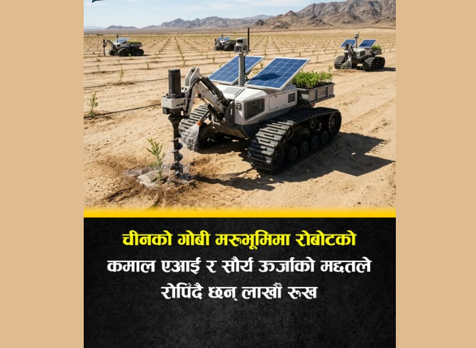 चीनको गोबी मरुभूमिमा रोबोटको कमाल   एआई र सौर्य ऊर्जाको मद्दतले रोपिँदै छन् लाखौँ रूख