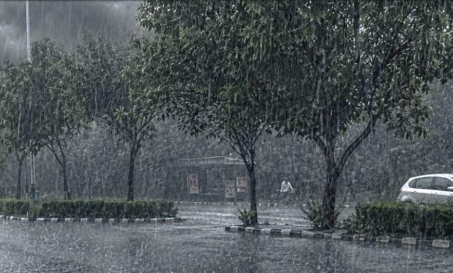 मनसुन सक्रिय, देशका केही स्थानमा भारी वर्षाको पूर्वानुमान