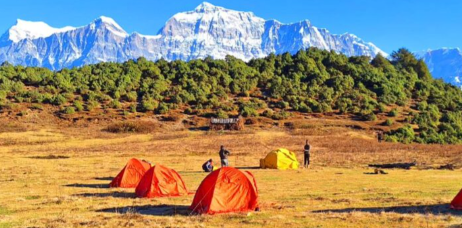 ढोरपाटनमा विदेशी सिकारीको आकर्षण