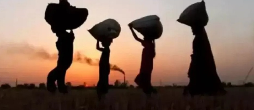 हरूवाचरूवा मुक्तिको चार वर्ष, समस्या उस्तै