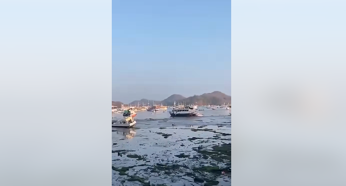 के अर्जेन्टिनामा समुन्द्र सुकेकै हो ?  गुगलको जवाफ