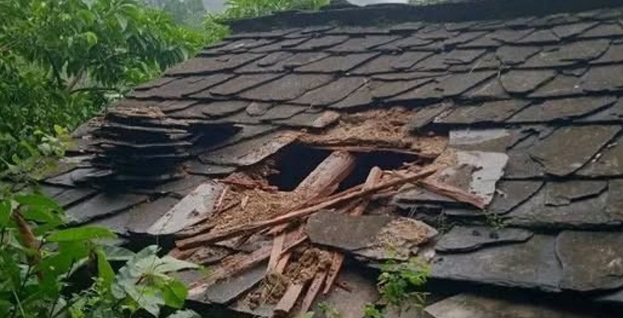 नगरकार्यपालीको एक सदस्य चोरी आरोपमा पक्राउ